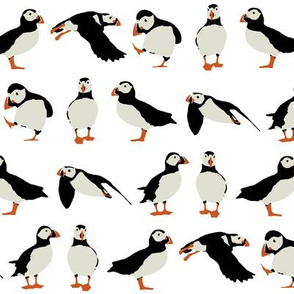 just puffins on white
