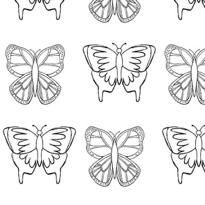 Butterfly 3- Coloring Design