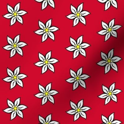 edelweiss on red - Schweiz, Suisse, Switzerland, Svizzera