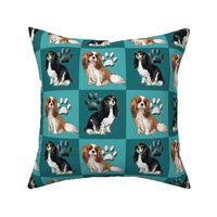 Cavalier Spaniels squares