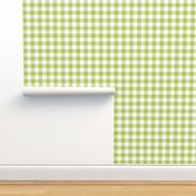 Gingham Green Apple