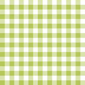 Gingham Green Apple