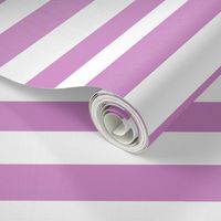 Big Purple Horizontal Stripes