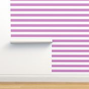 Big Purple Horizontal Stripes