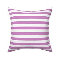 Purple Horizontal Stripes