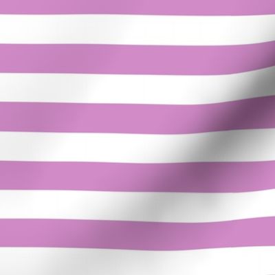 Purple Horizontal Stripes