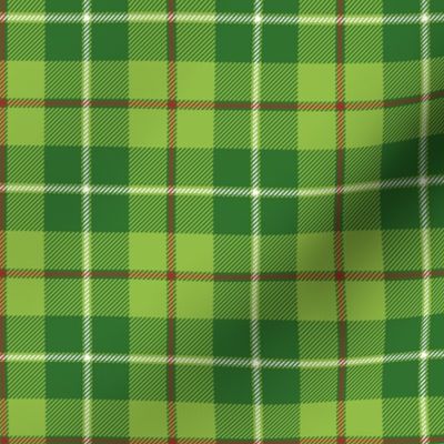 Galloway hunting tartan - 3" white line weathered