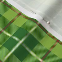 Galloway hunting tartan - 3" white line weathered