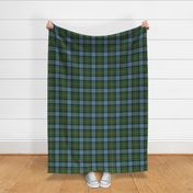 California official state tartan, 6" faded