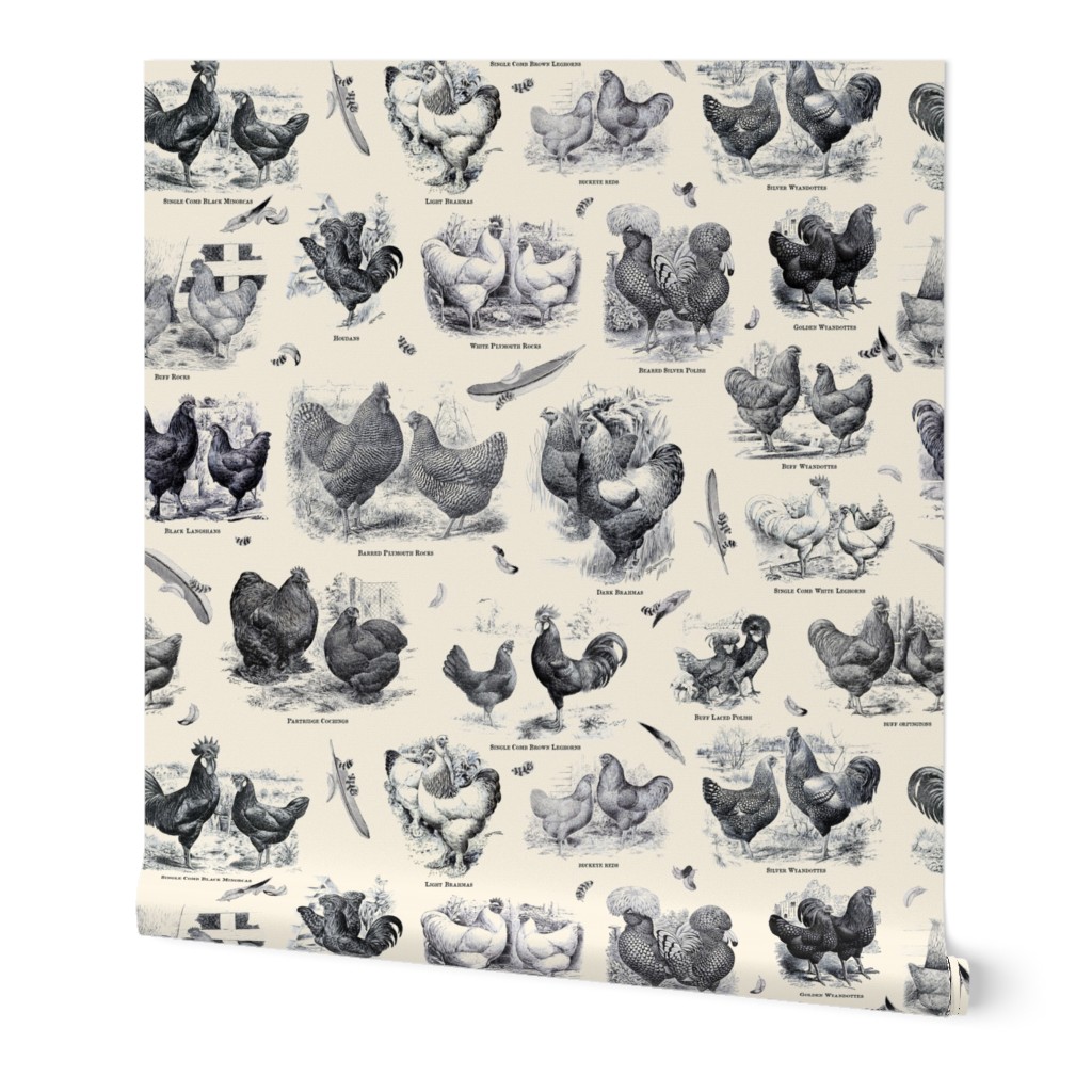 Poultry Envy Cream Black Toile 