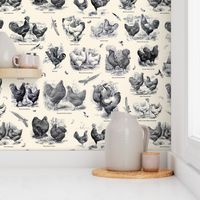 Poultry Envy Cream Black Toile 