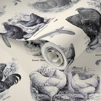 Poultry Envy Cream Black Toile 