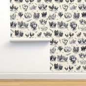 Poultry Envy Cream Black Toile 