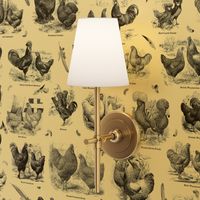 Poultry Envy Cream Black Toile 