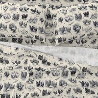 Poultry Envy Cream Black Toile 