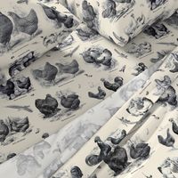 Poultry Envy Cream Black Toile 