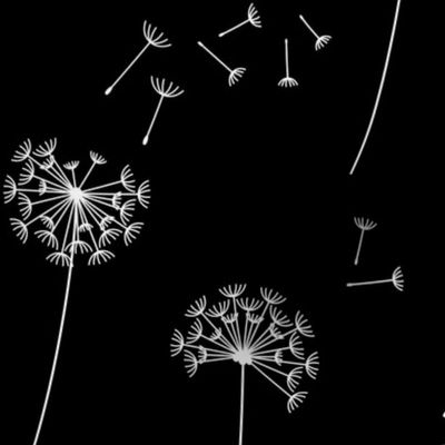 dandelions {1} black and white reversed