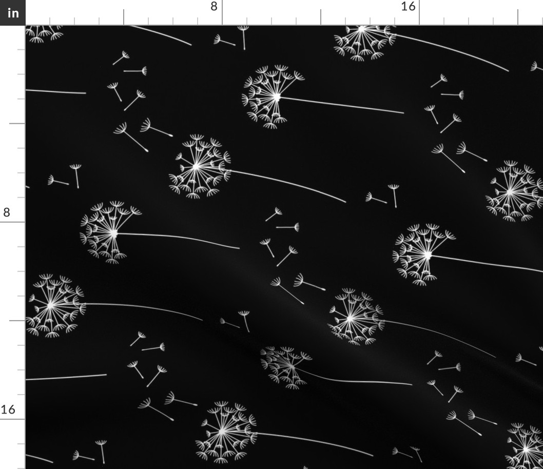 dandelions {1} black and white reversed horizontal