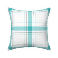 teal + grey plaid 1 XL