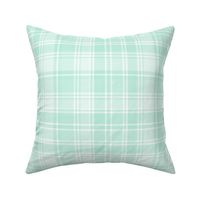 plaid mint green 2 LG