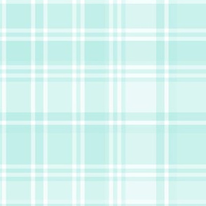 plaid light teal 2 LG