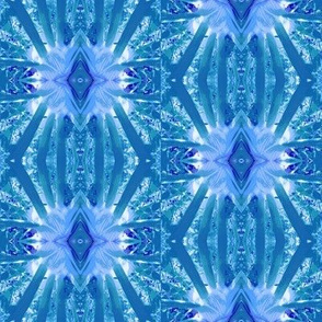 I love blue 5, fennel stars