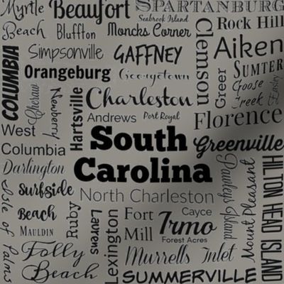 Cities of South Carolina, taupe