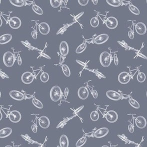 bicycle - mountainbike - gray - xray - small 