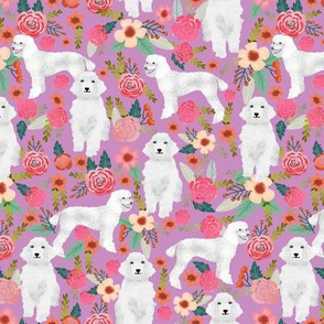 poodle white purple cute florals flowers best poodle dog fabric cute poodles fabric white standard poodle purple dog fabric