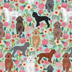 poodle florals cute poodles fabric mixed poodles color poodles cute poodle design best poodles fabric