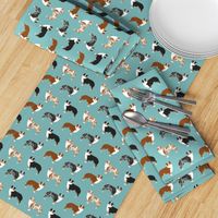 australian shepherds dogs cute blue merle dog red merle aussie dog fabrics cute fabric design