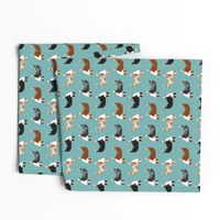 australian shepherds dogs cute blue merle dog red merle aussie dog fabrics cute fabric design