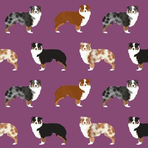 australian shepherd dogs cute pet dog aussie dogs red merle blue merle best dog fabric cute dogs best aussie dog fabrics sweet pet dog fabric