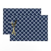 Navy and orange team color _Navy_Blue_Trellis