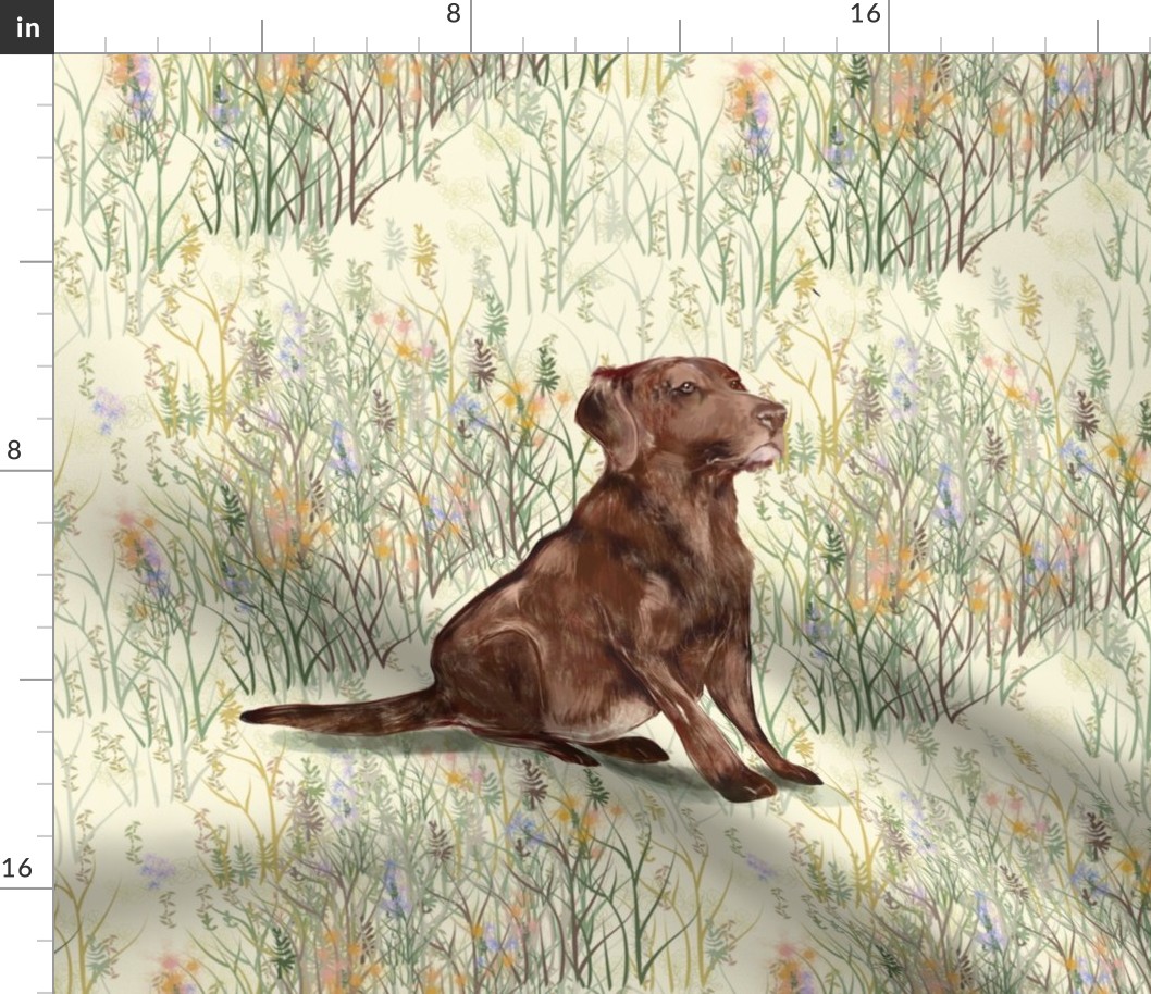 Chocolate Lab sitting in Wildflowers 2