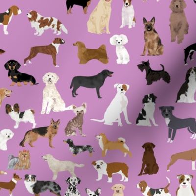 dogs cute dog purple dog fabric best dog breed design dog person fabric dog lovers fabric cute dog quilting fabric