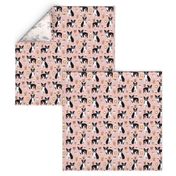 boston terrier pink coffees coffee dog fabric latte fabric cute bostons dog fabric best dog fabric latte