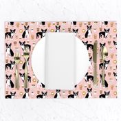 boston terrier pink coffees coffee dog fabric latte fabric cute bostons dog fabric best dog fabric latte