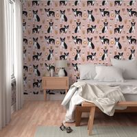 boston terrier pink coffees coffee dog fabric latte fabric cute bostons dog fabric best dog fabric latte