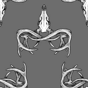 Deer Skull Horizontal Gray