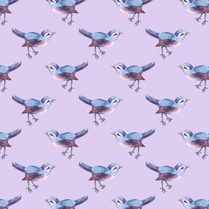 Little Songbird in Blue and Violet