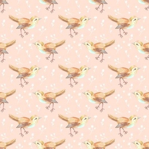 Bird Faded on Pale Peach Floral