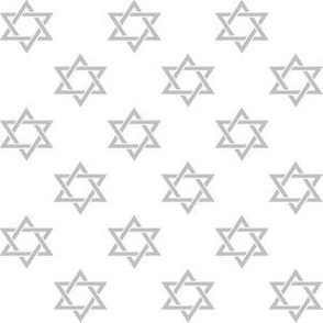 One Inch Matte Silver Star of David on White