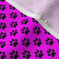 Half Inch Black Paw Prints on Magenta Pink