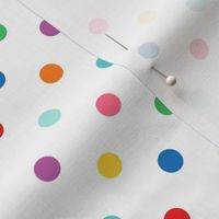 XL rainbow fun polkas