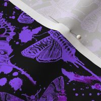 Purple Splatter Drip Moths