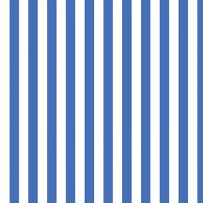 Blue Vertical Stripes
