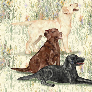 Chocolate Yellow and Black Lab in Wildflowers_2