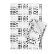 BIG DATA, black-gray text in a gradient on white, by Su_G_©SuSchaefer