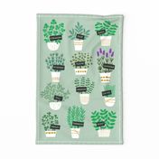 Herbs in pots tea towel (light)